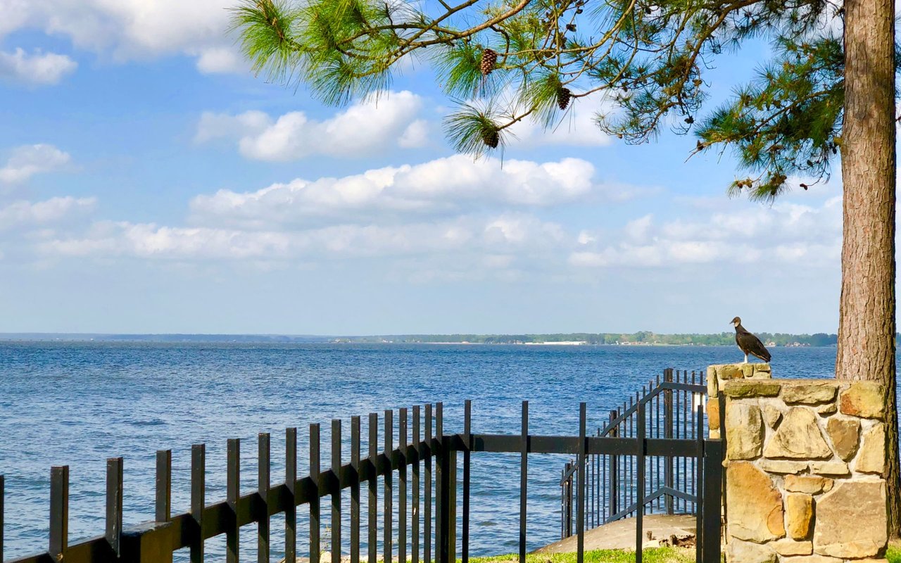 Lake Conroe