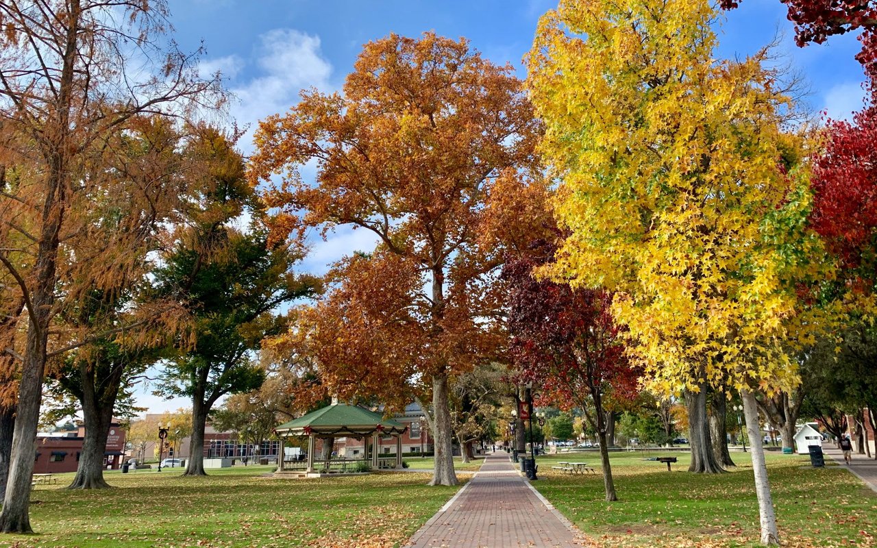 Paso Robles