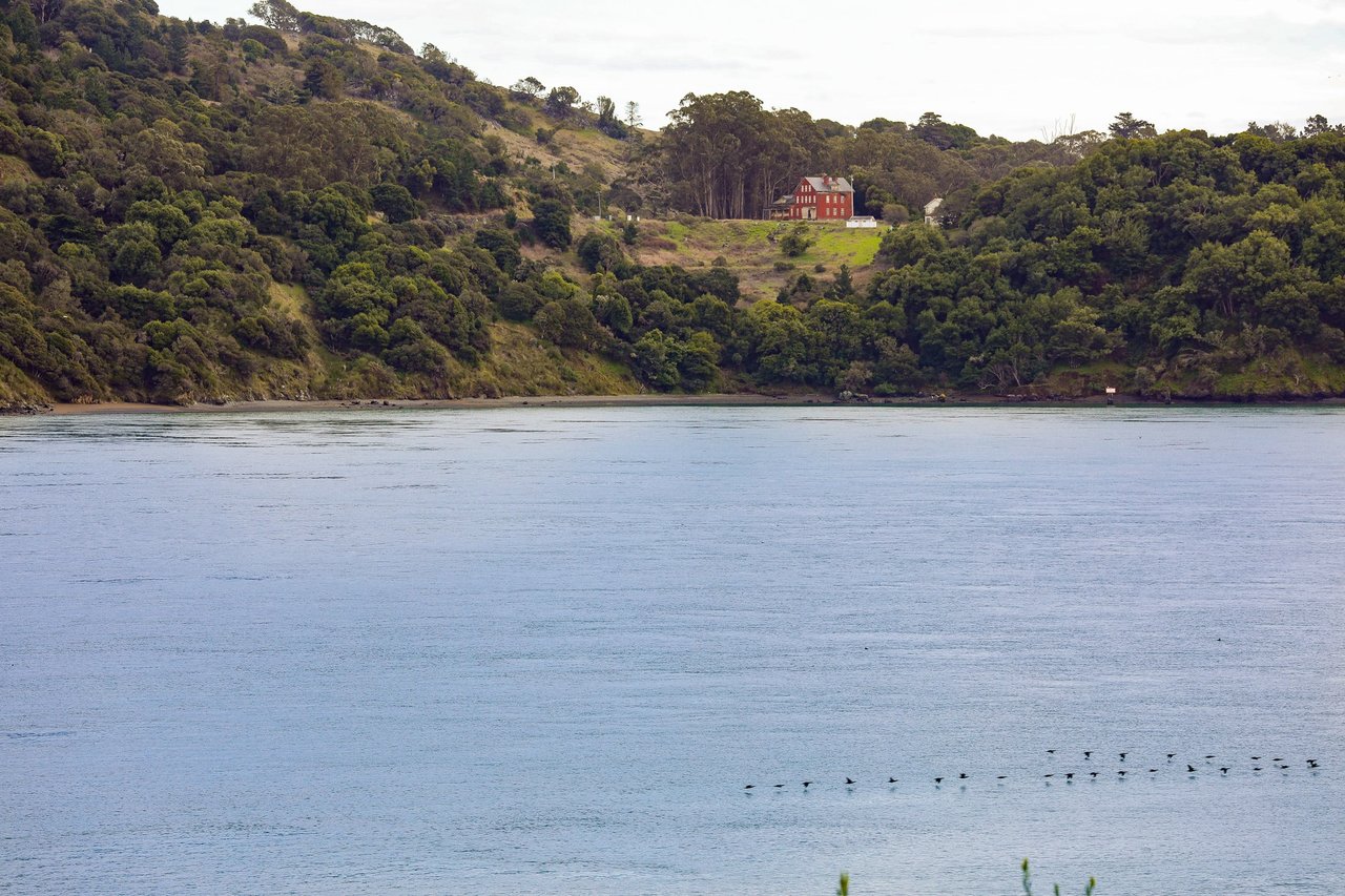 Picturesque Views of San Francisco Bay & Angel Island