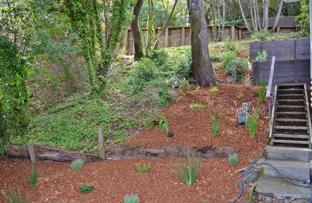 84 Bret Harte Road, San Rafael