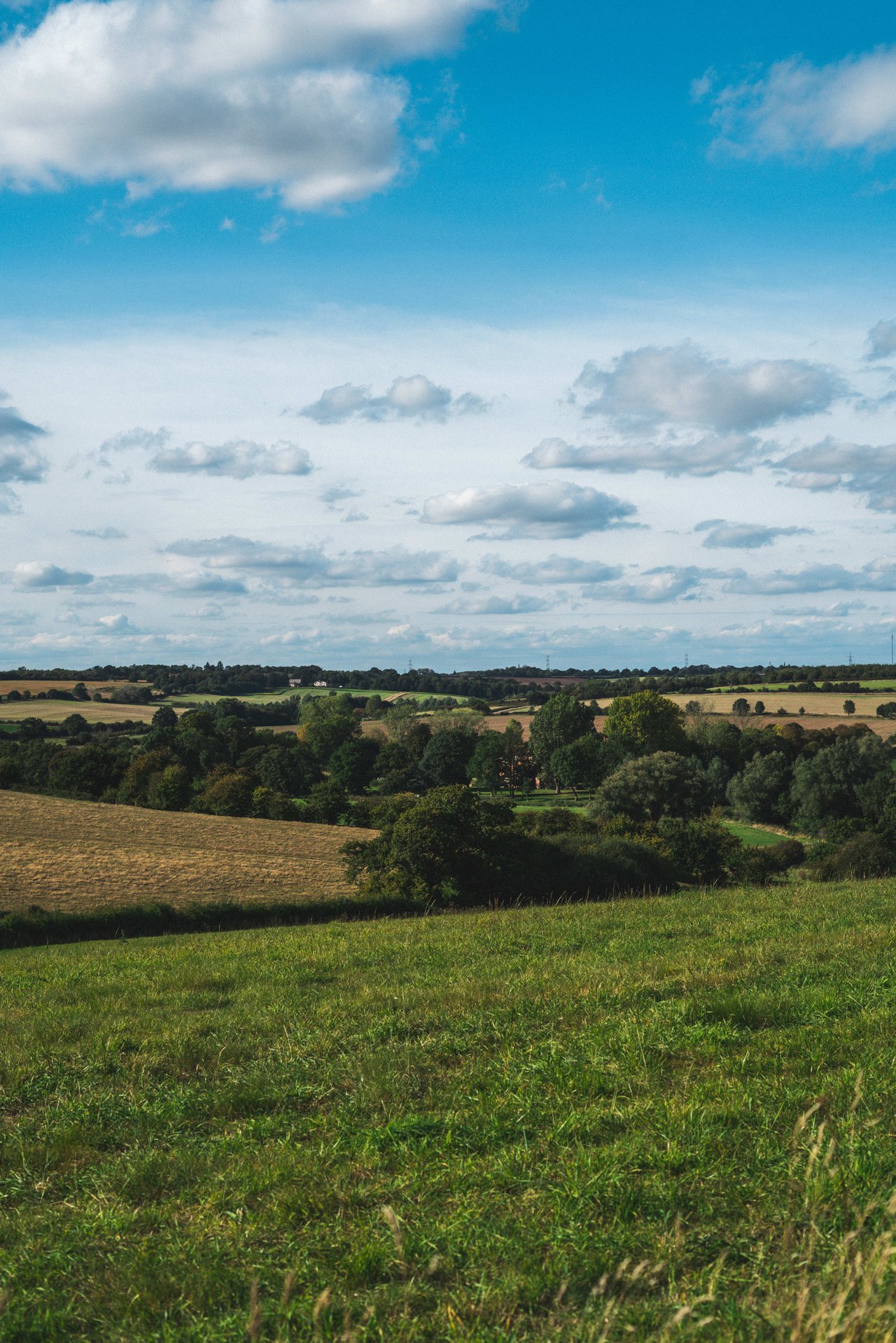 Dishing Out the Facts on Land Values