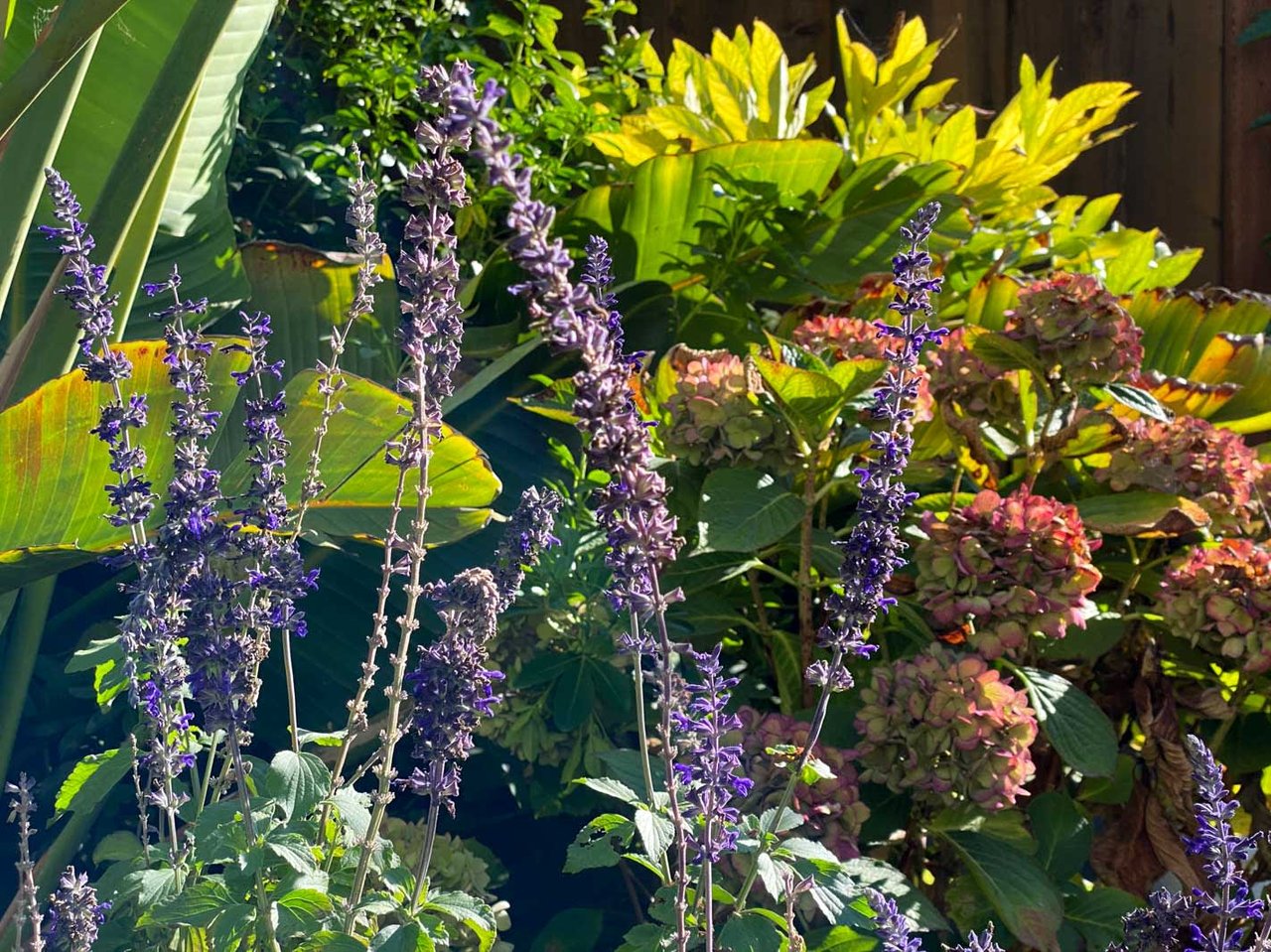 117 Sonora Way, Corte Madera