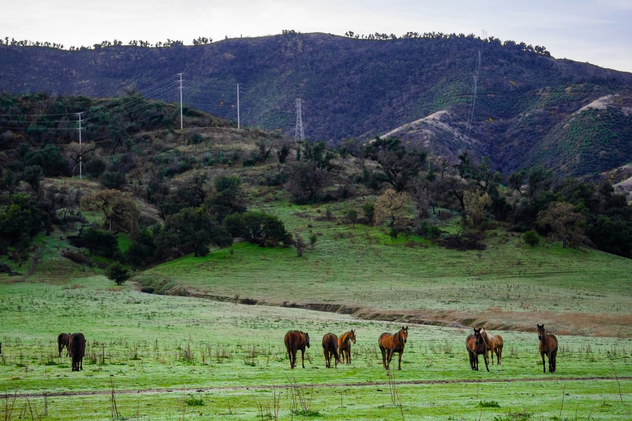 Lion Mountain Ranch 940+/- Acre Ojai Ranch 