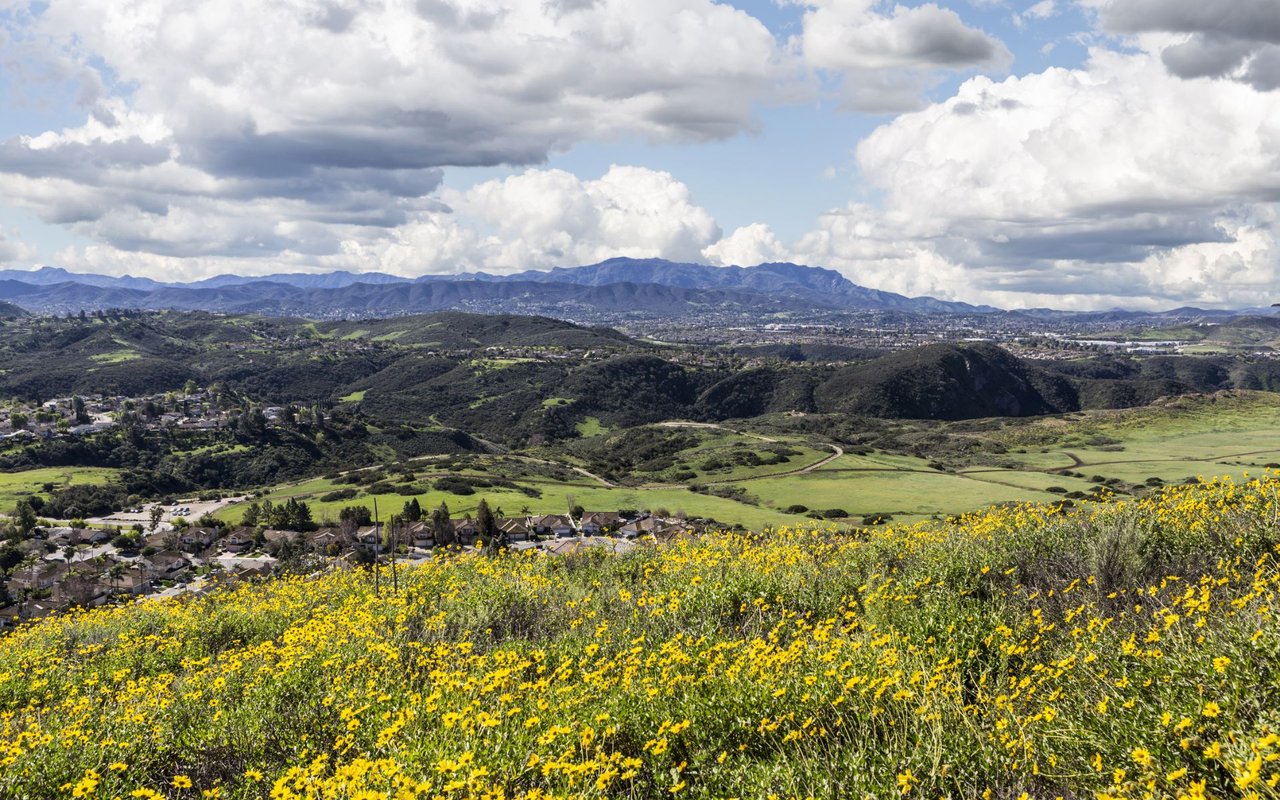 Thousand Oaks