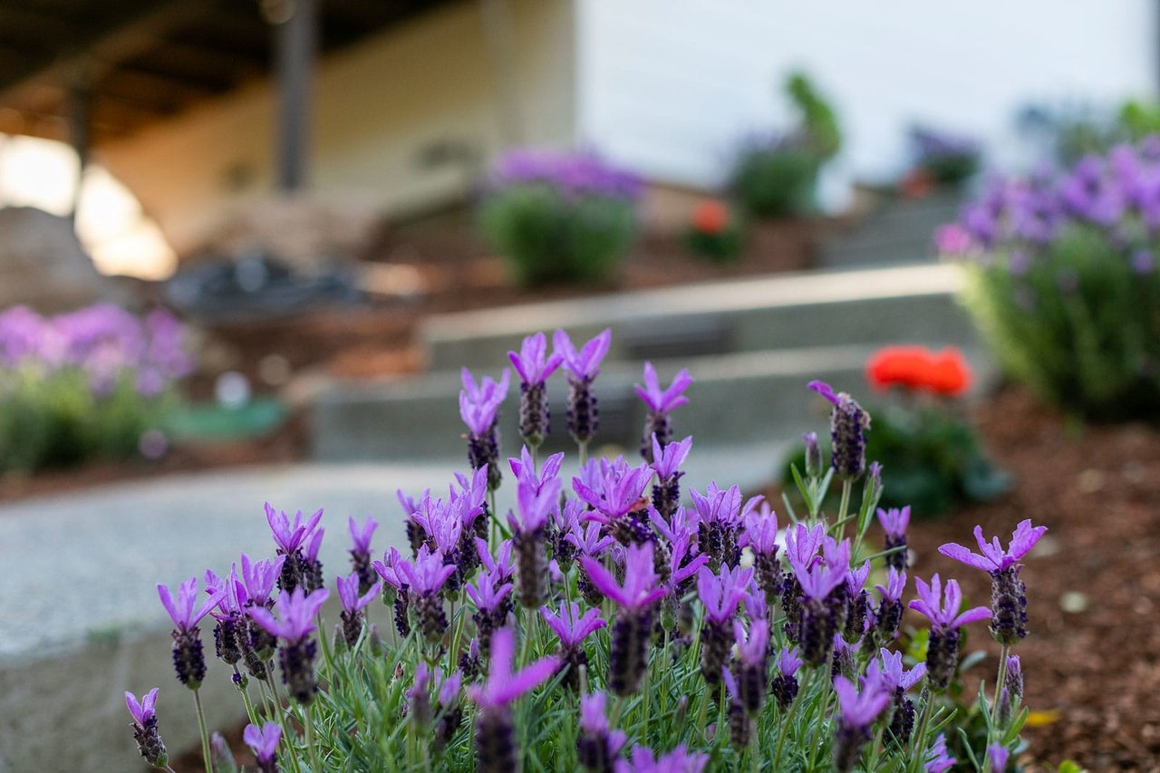 53 Monterey Ave, San Anselmo