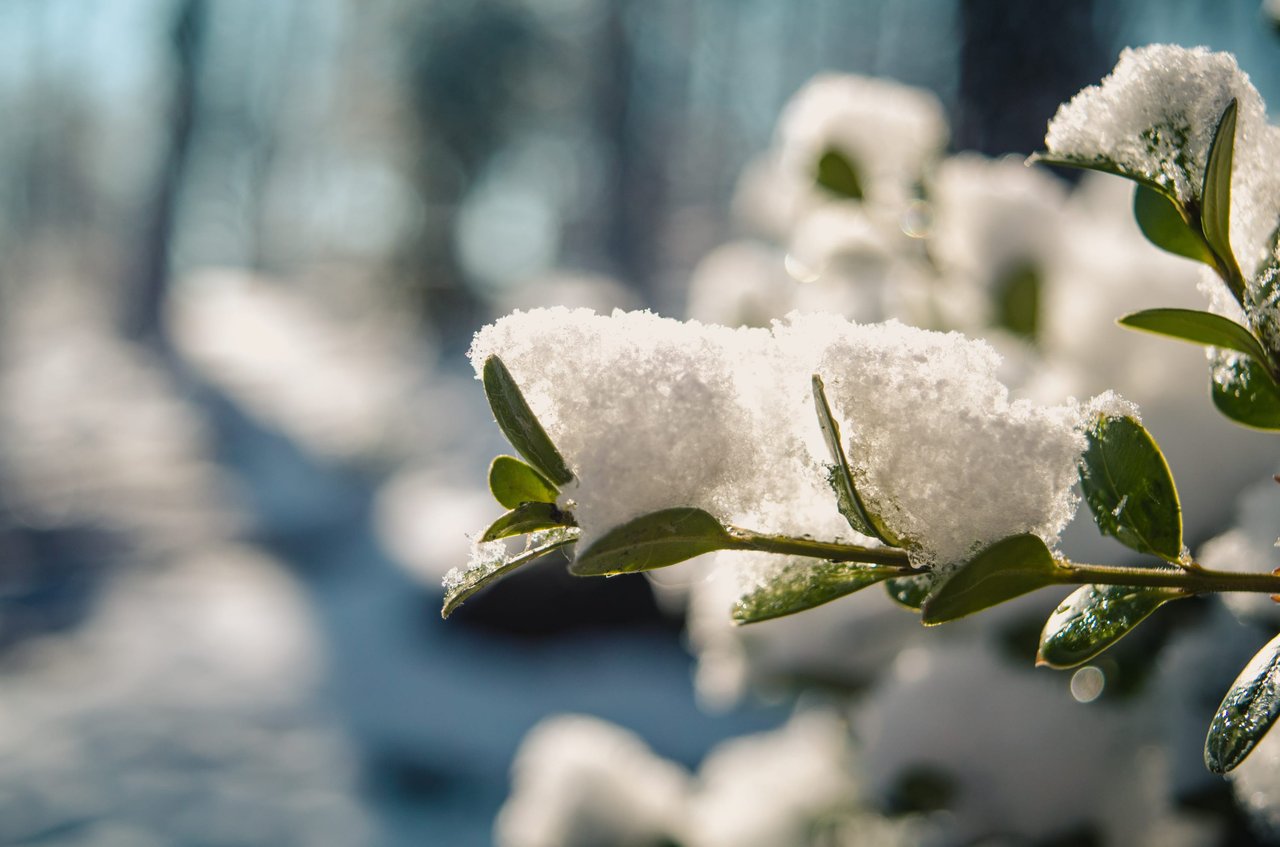 Time to Winterize and Prep Your Home for the Season 