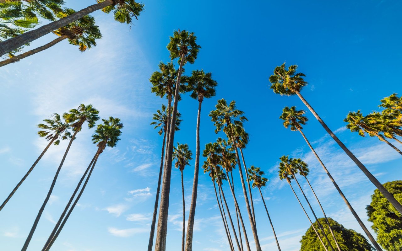 Mission Bay