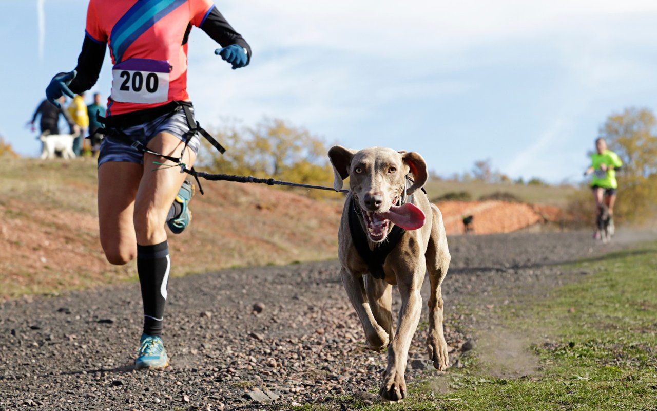 Mauna Kea Realty and Bieni 5k Fun Run and Dog Walk