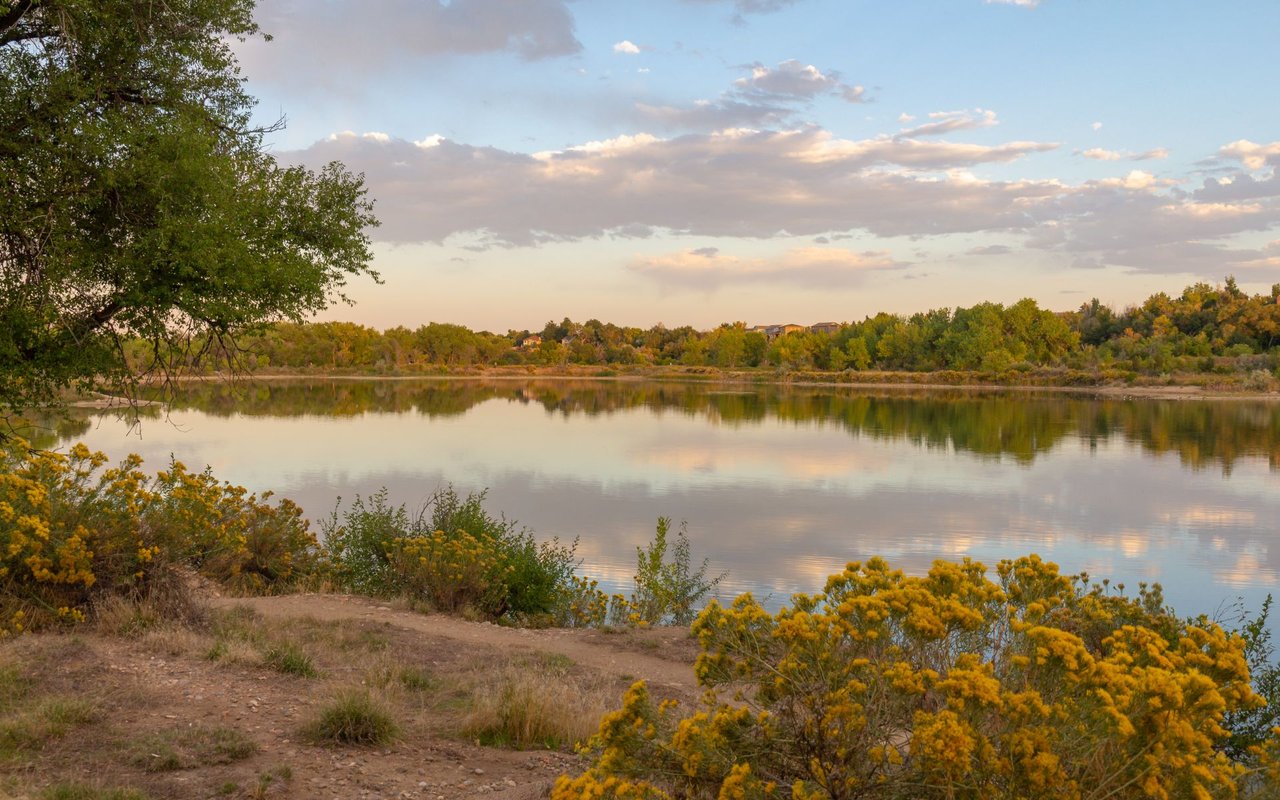 Wheat Ridge
