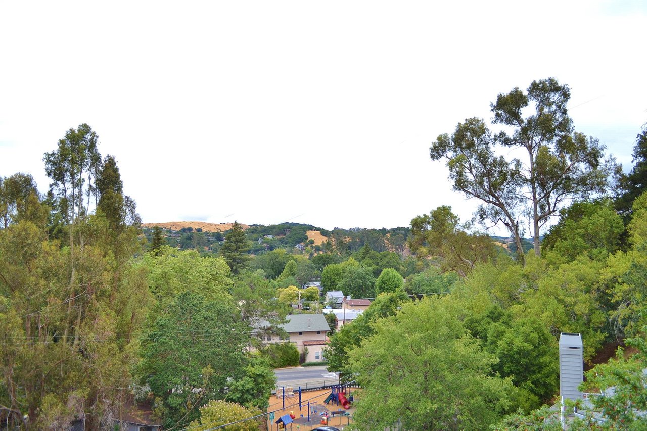 21 Forrest Avenue, San Anselmo