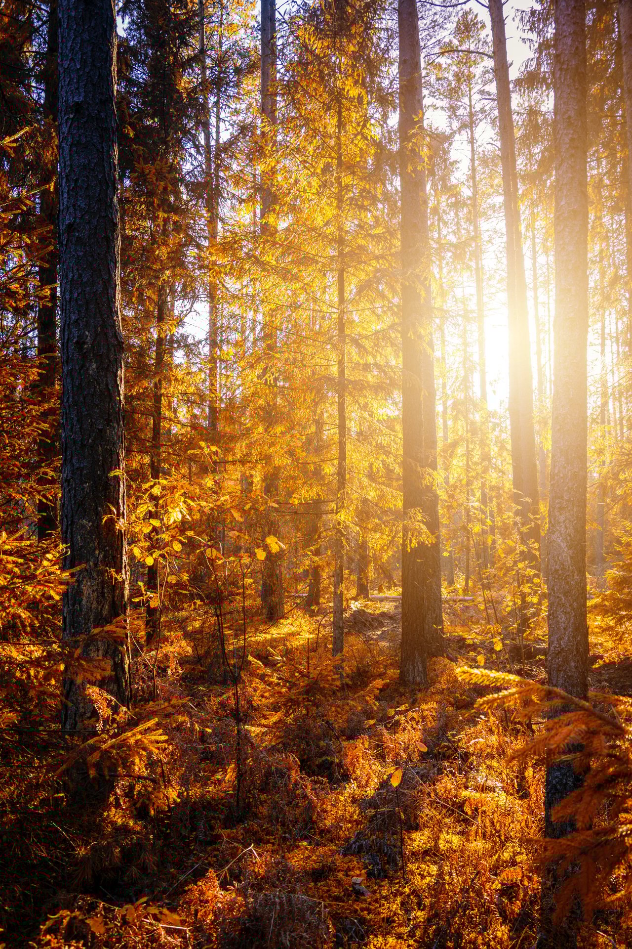 Seasons Change…and That Is a Constant
