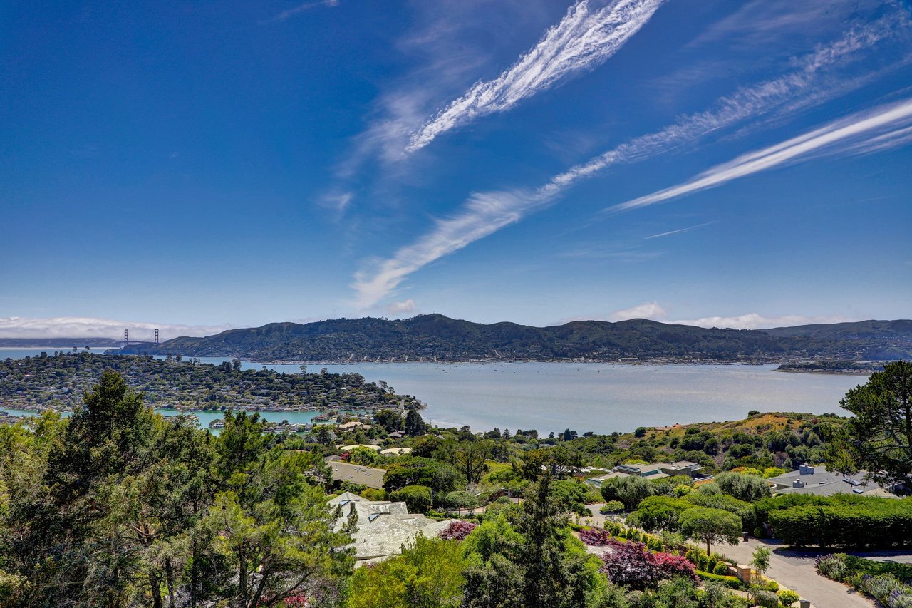 Extraordinary Tiburon Sanctuary