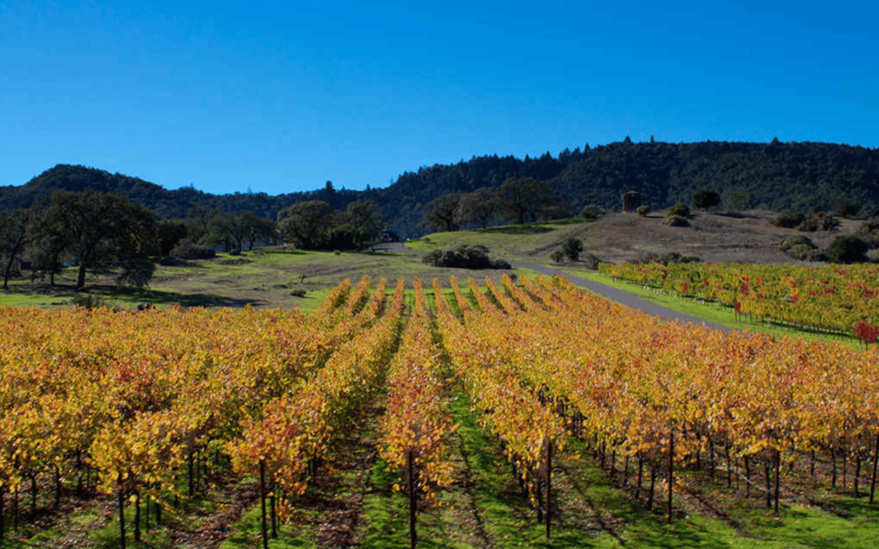 10 Reasons to Visit Napa in the Fall