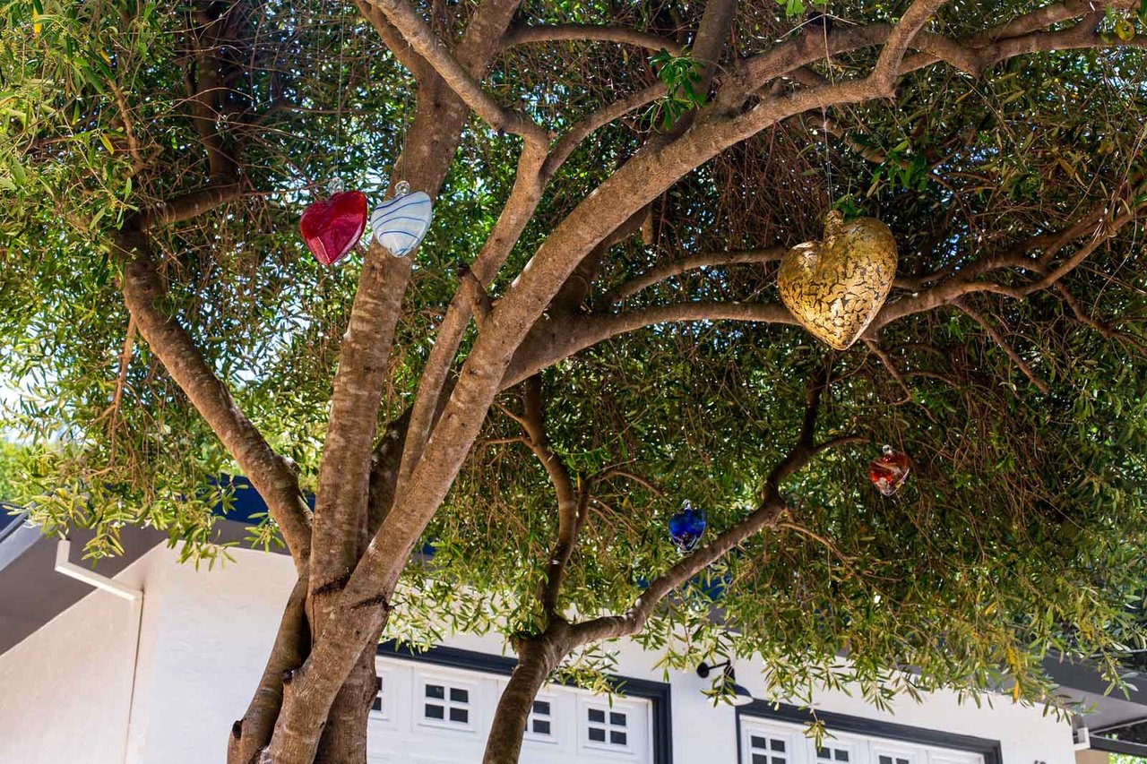 69 Raven Road, San Anselmo