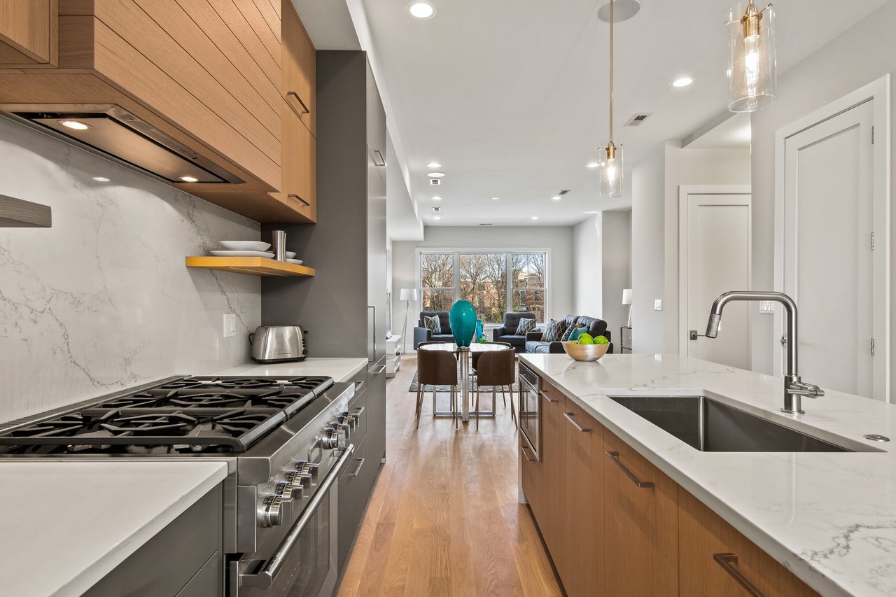 Wicker Park New Construction: 1909 W Schiller, #1W