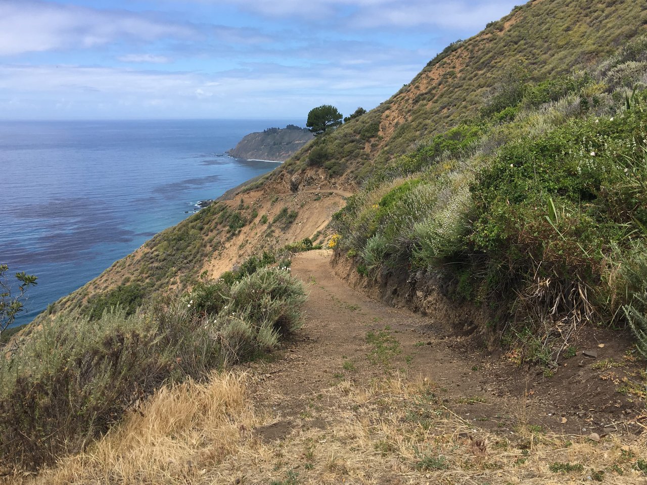 Coast Ranch - Big Sur Luxury Rental