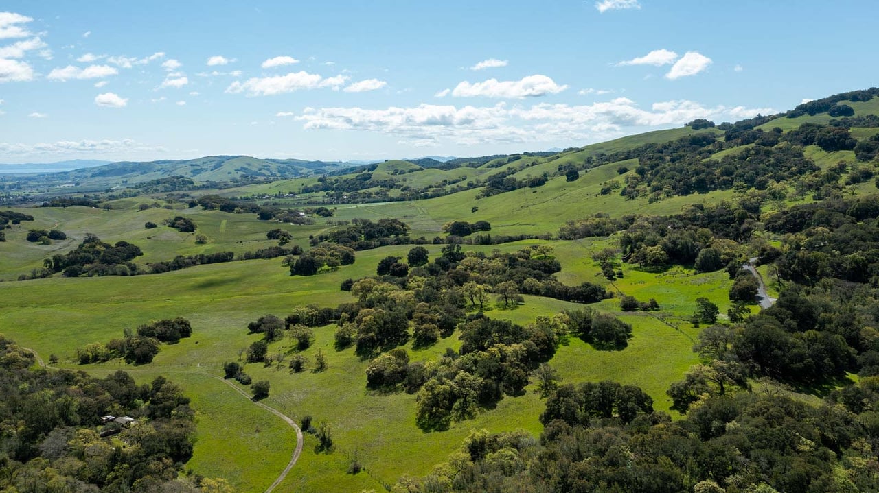 Sonoma