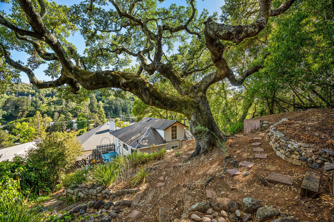 Incredible West End Craftsman Residence