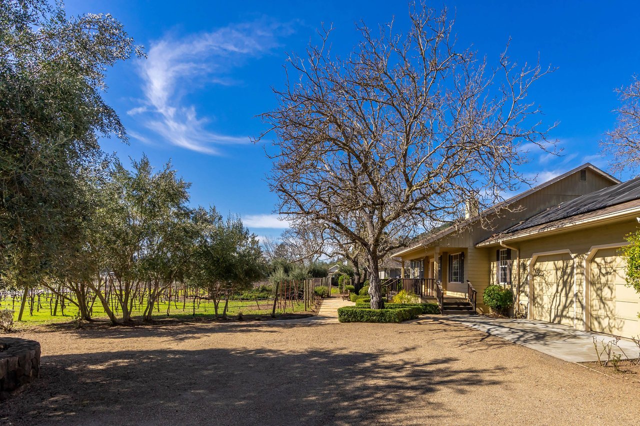 Vineyard Paradise - SOLD