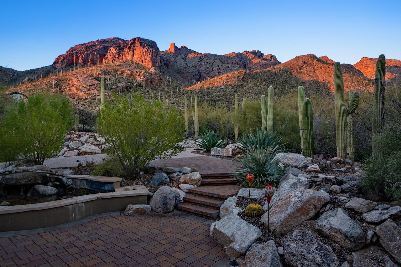 The Canyons 