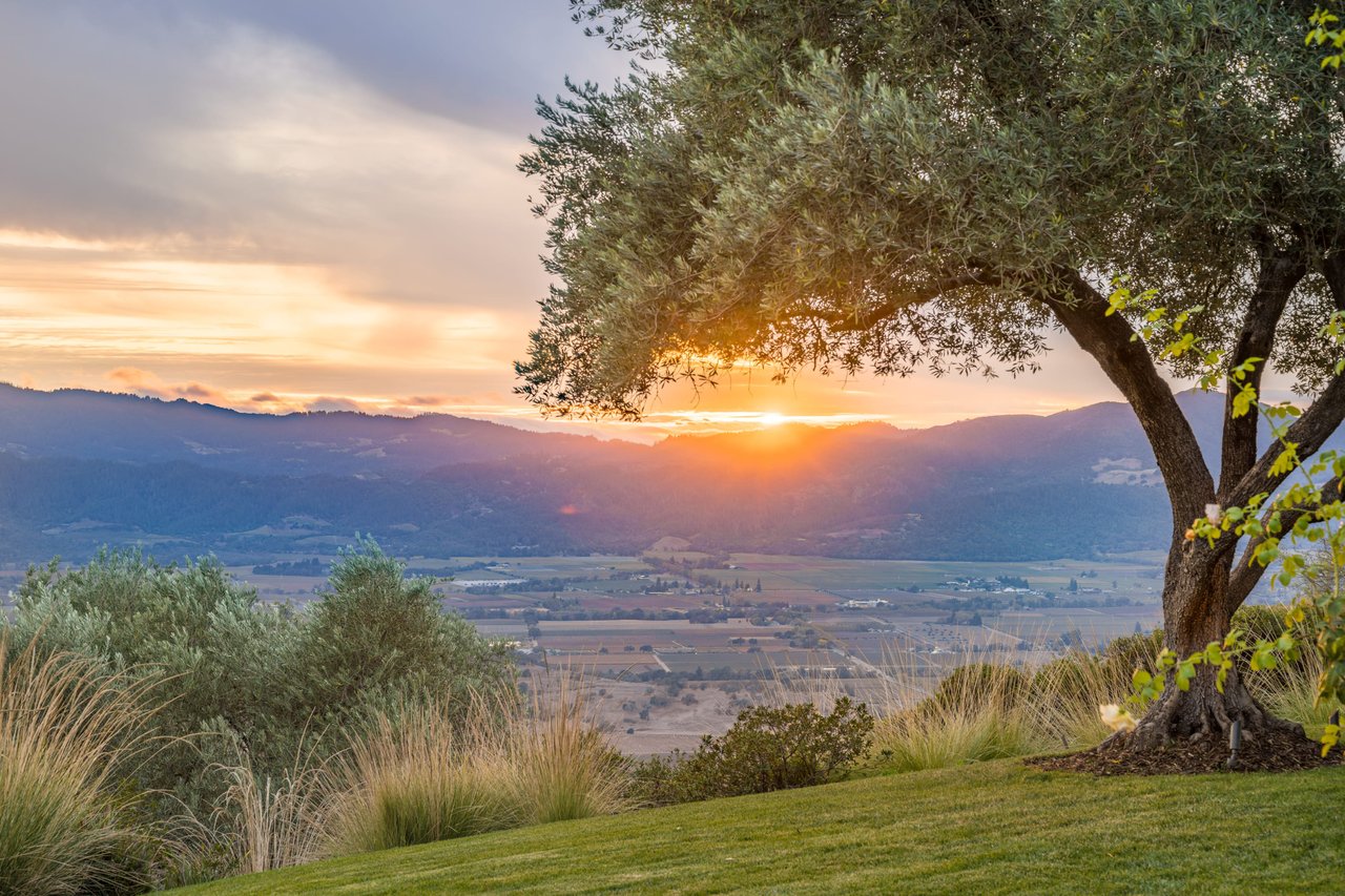 Long Ranch Road, St. Helena