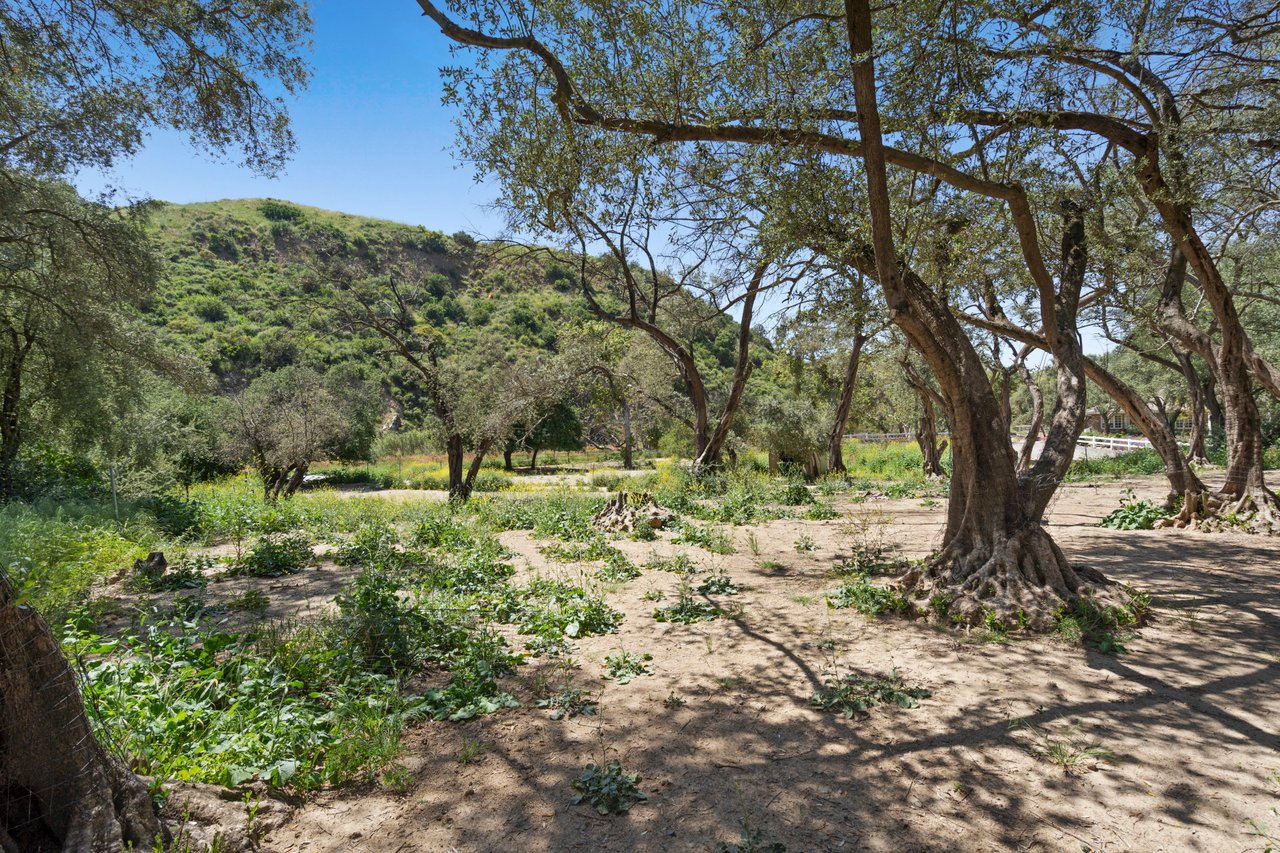 Vacant Lot in Modjeska Canyon 
