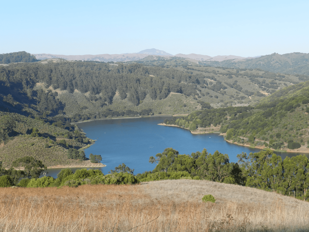 4 Ways to Get Outside in the East Bay