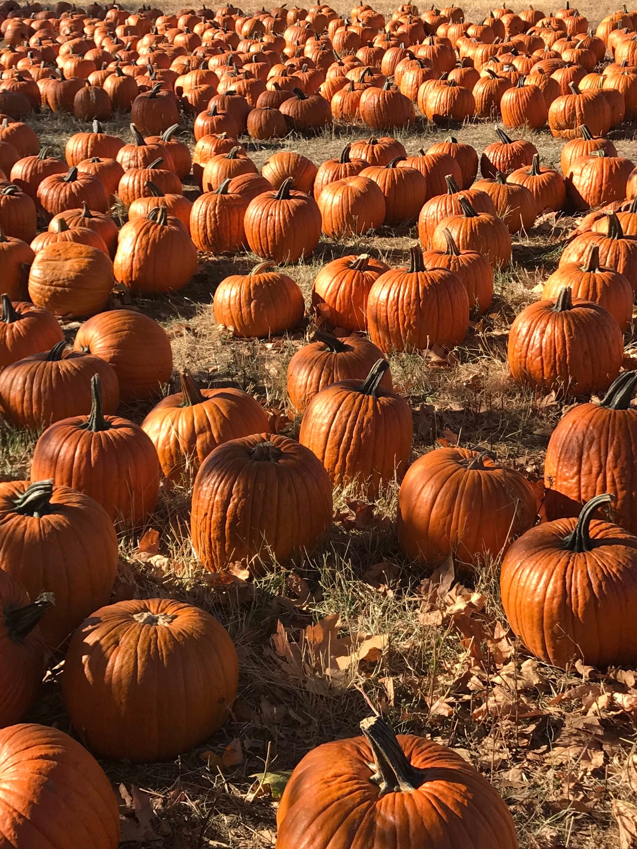 October 2020