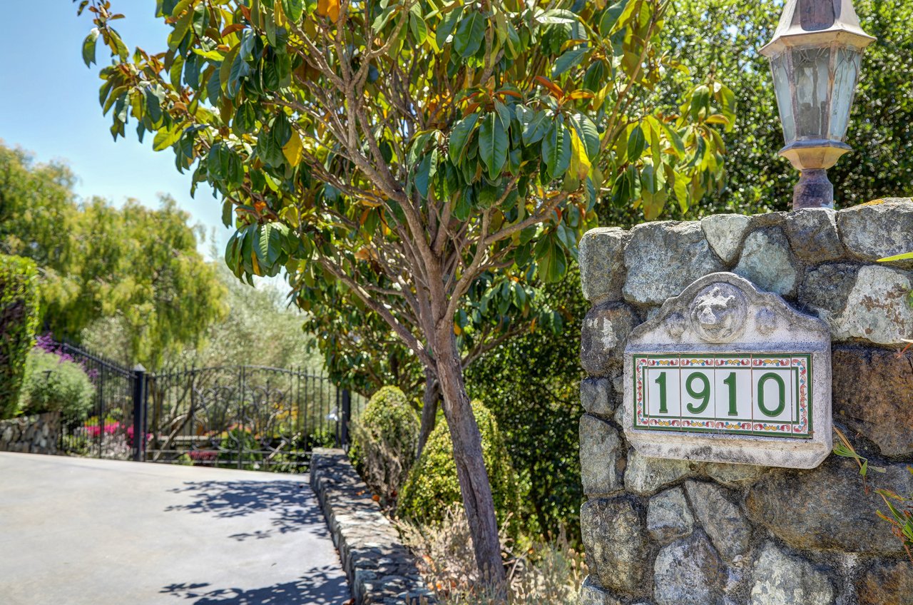 Captivating Tiburon Estate