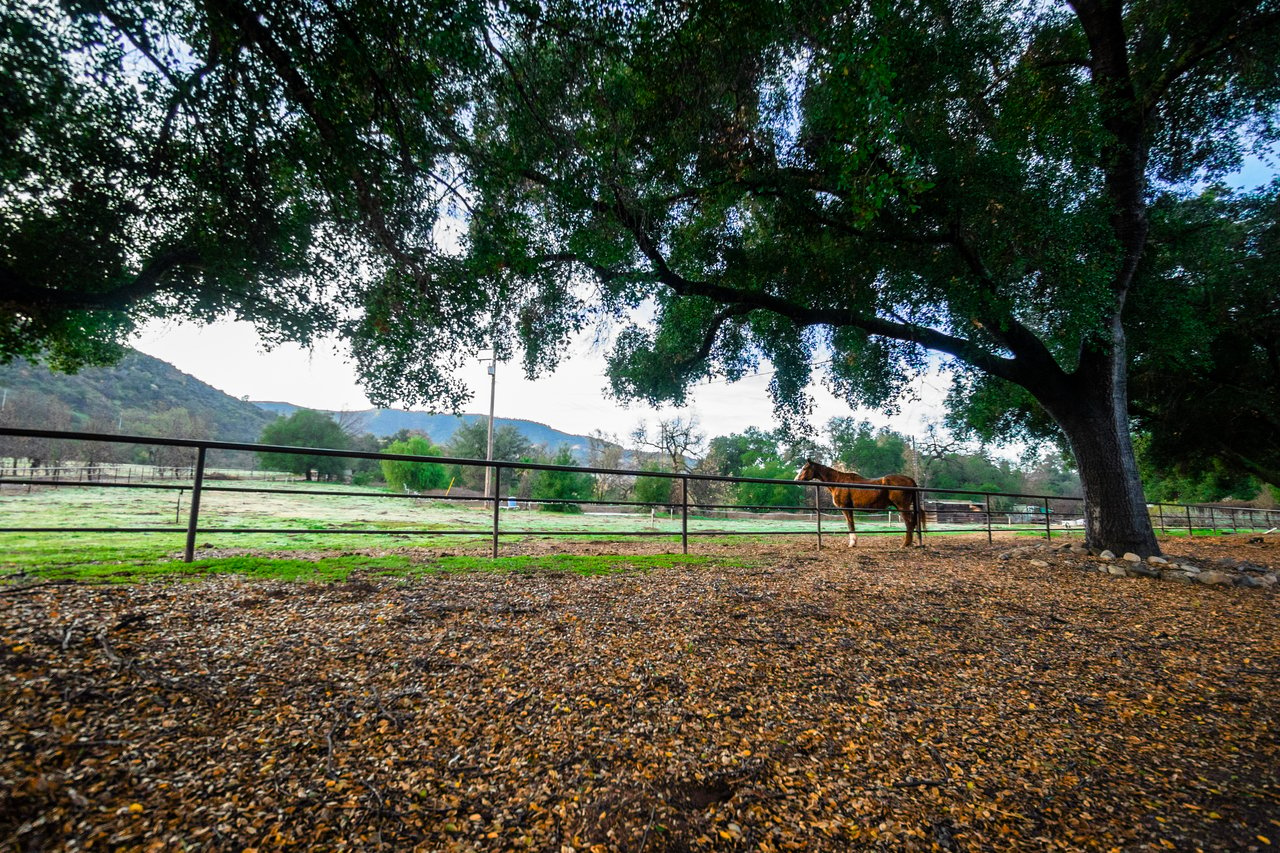 Lion Mountain Ranch 940+/- Acre Ojai Ranch 