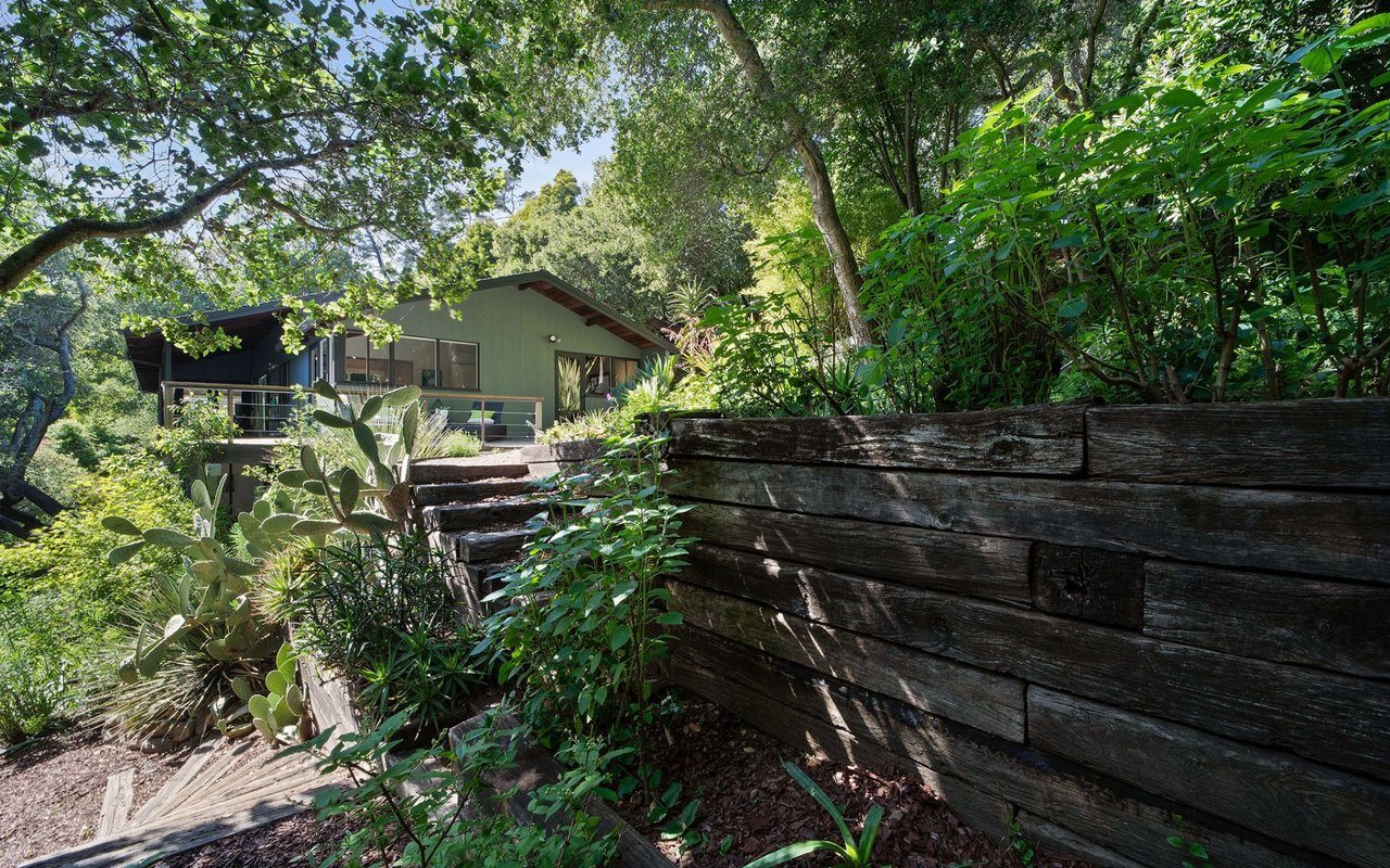2385 Scout Rd