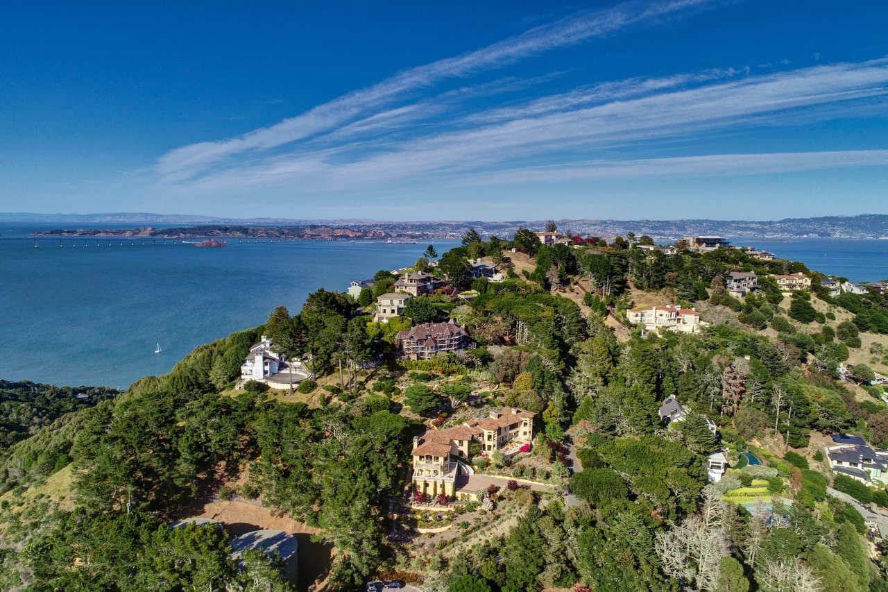 Extraordinary Tiburon Sanctuary