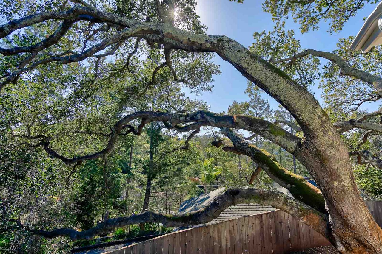 53 Monterey Ave, San Anselmo