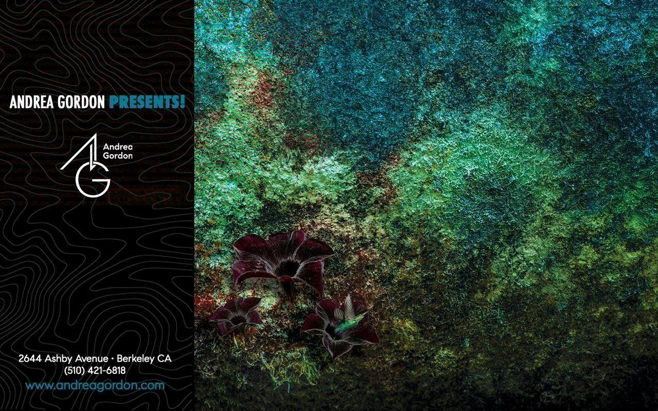 The Unlimited Possibility of Now With Artist David Fenton