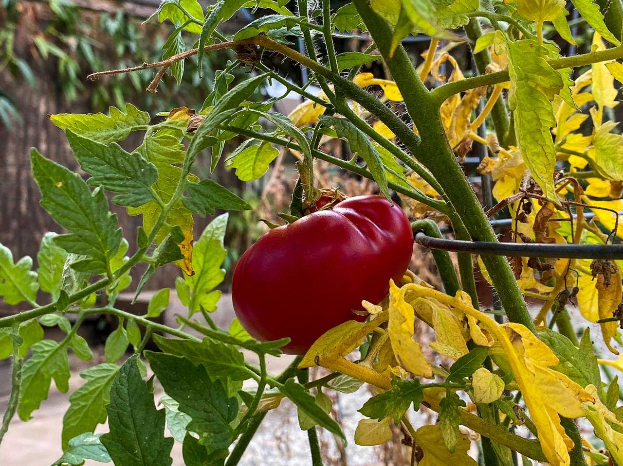 585 San Geronimo Valley Drive, San Geronimo