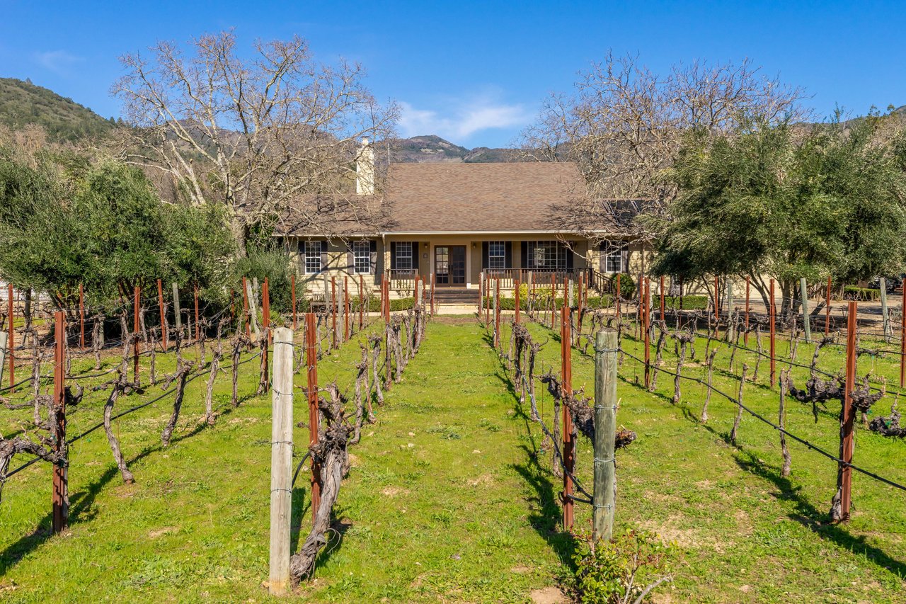 Vineyard Paradise - SOLD