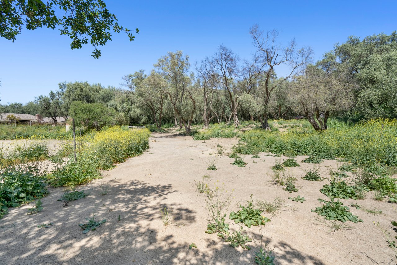Vacant Lot in Modjeska Canyon 