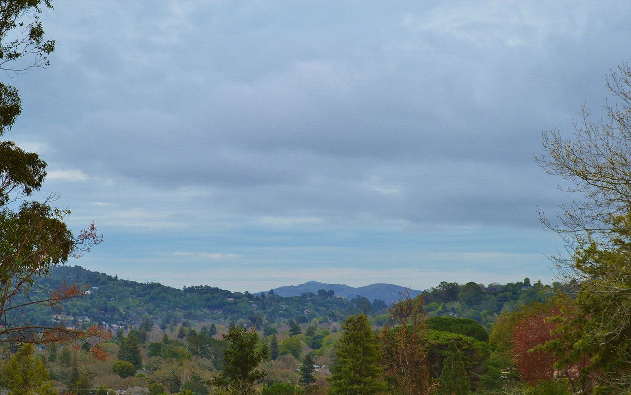 145 Ridgeway Avenue, Fairfax