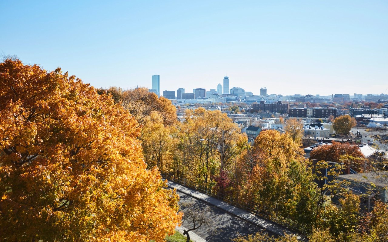 Somerville