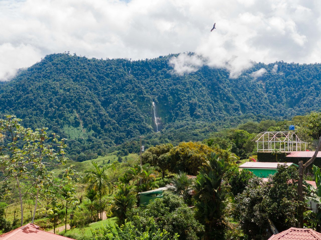 Baru, 2 bdrm home + studio casita Diamonte waterfall view