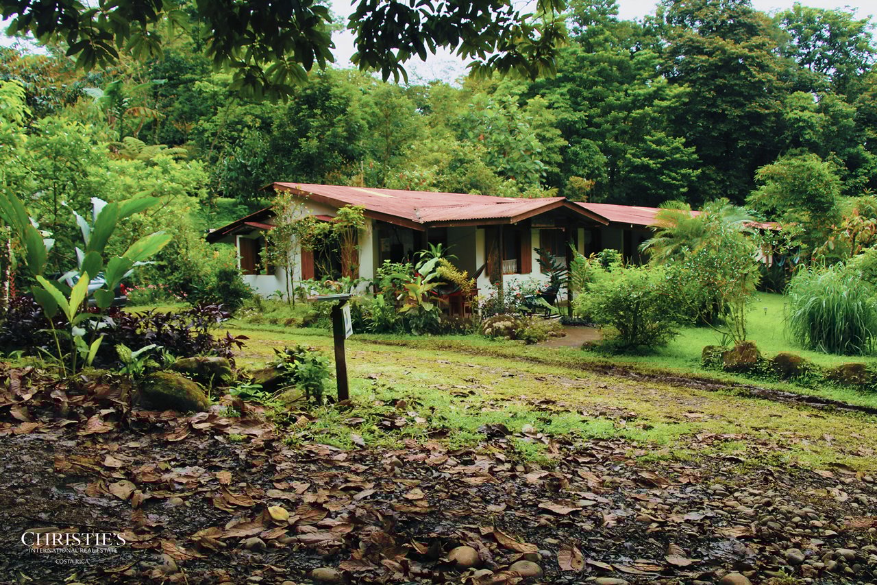Finca Isla Rainforest Retreat – A Rare Income-Producing Paradise
