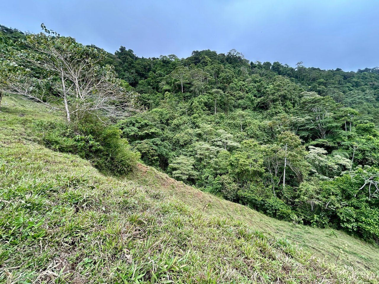 Gorgeous Land in San Luis Morete - Uvita - Over 17 Acres