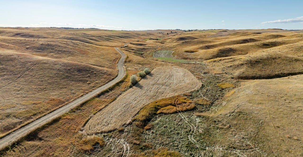 Salt Creek Ranch