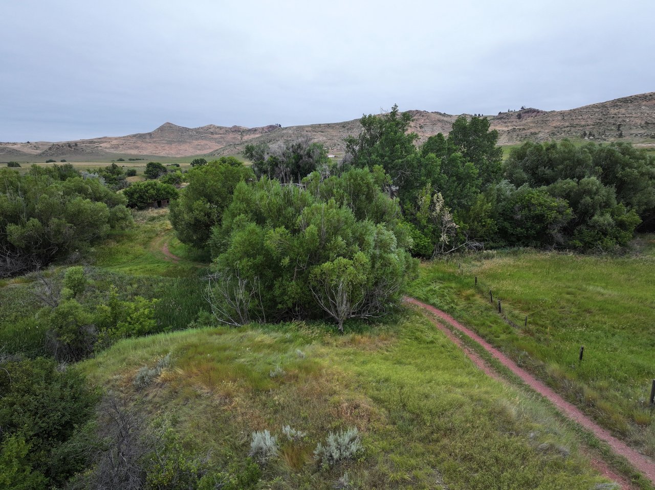Dutch Creek Ranch 