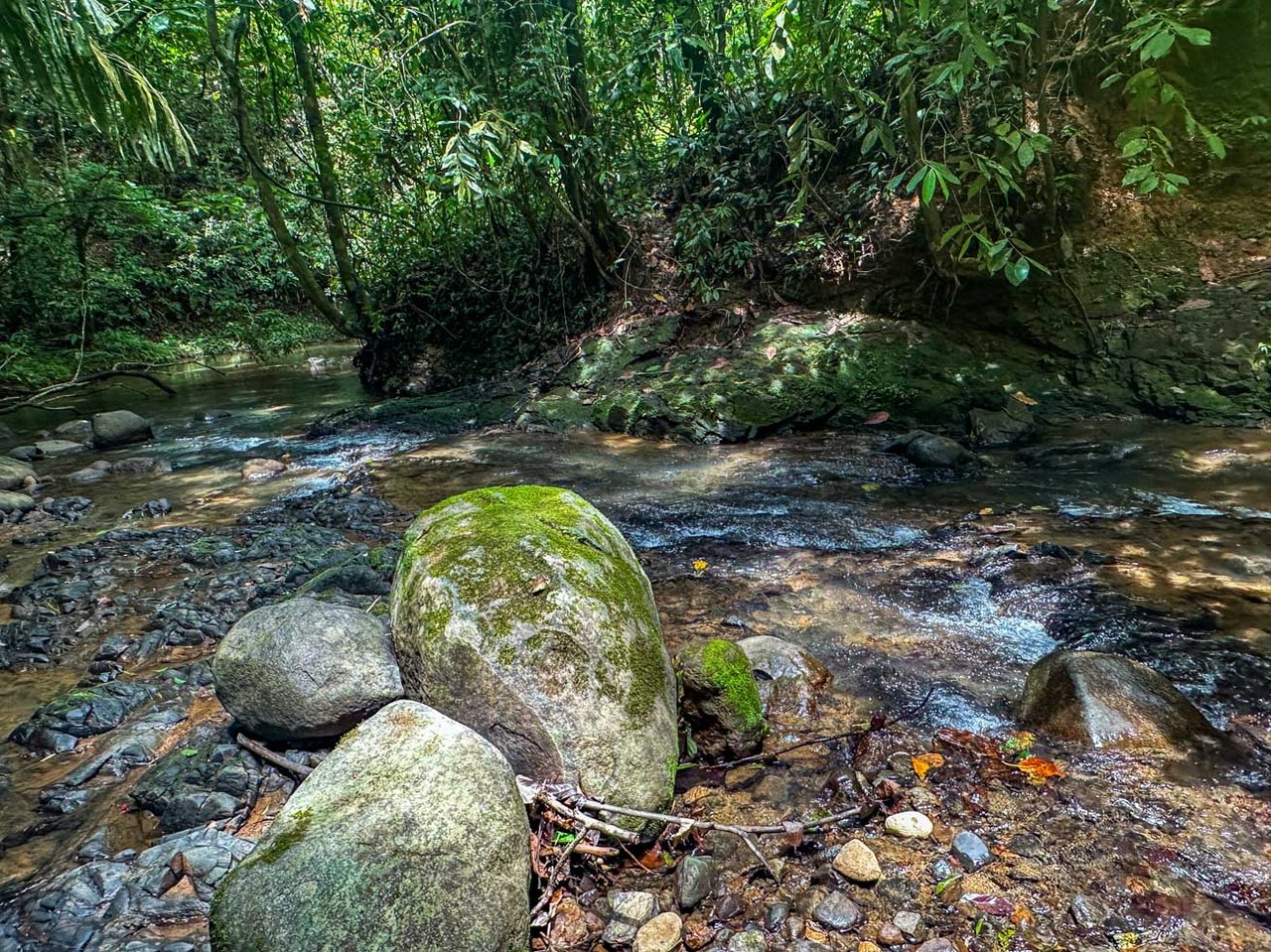 Jungle Home with Riverfront and Orchard in Ojochal Costa Rica