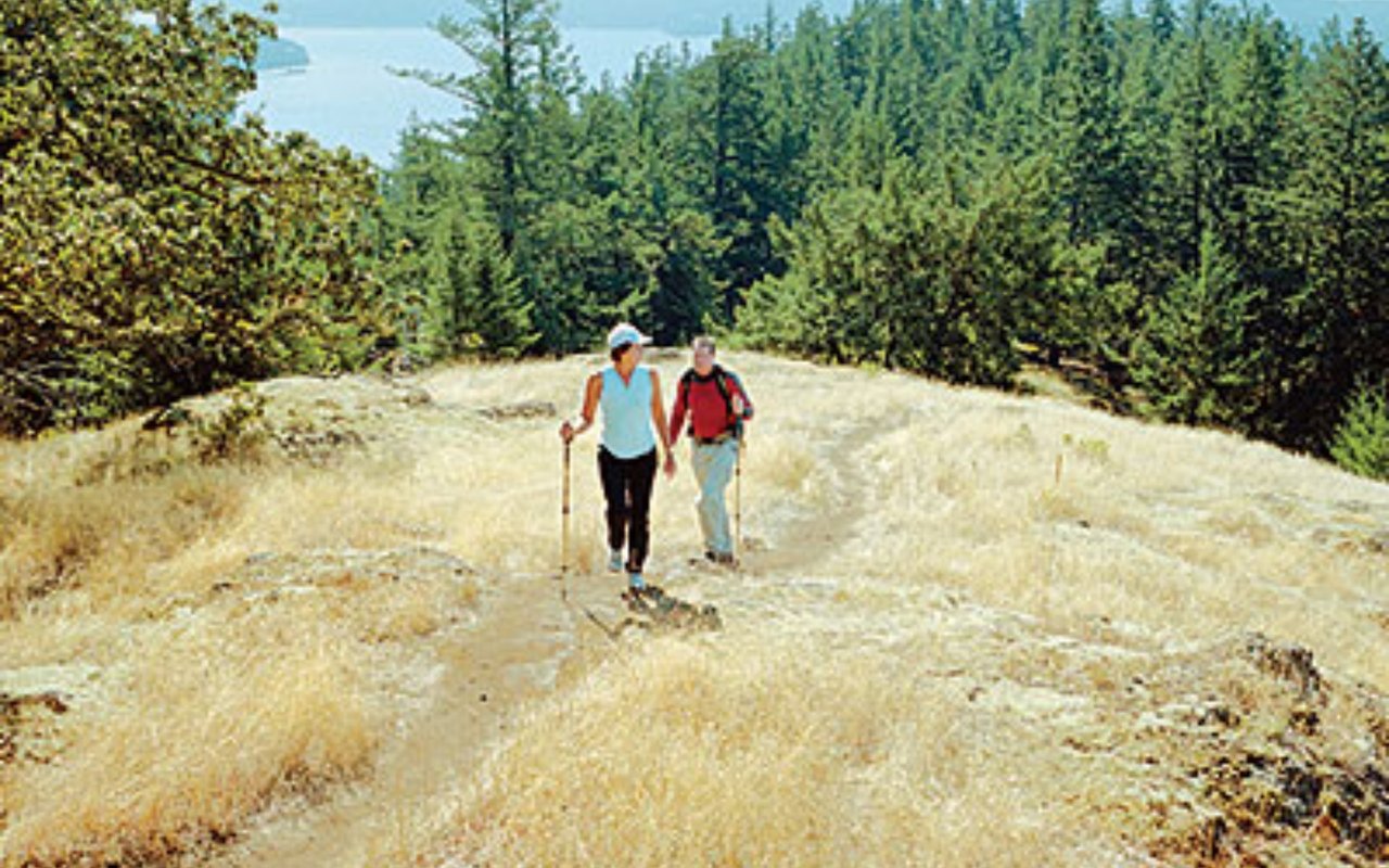 Dog Friendly Vacations