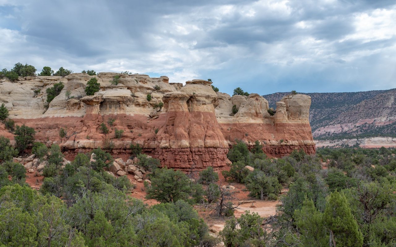 Montezuma County