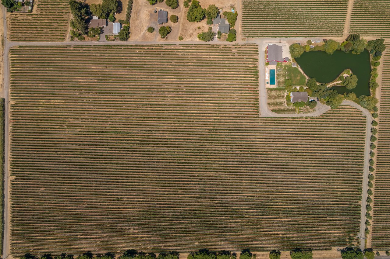 Oak Knoll Avenue, Napa