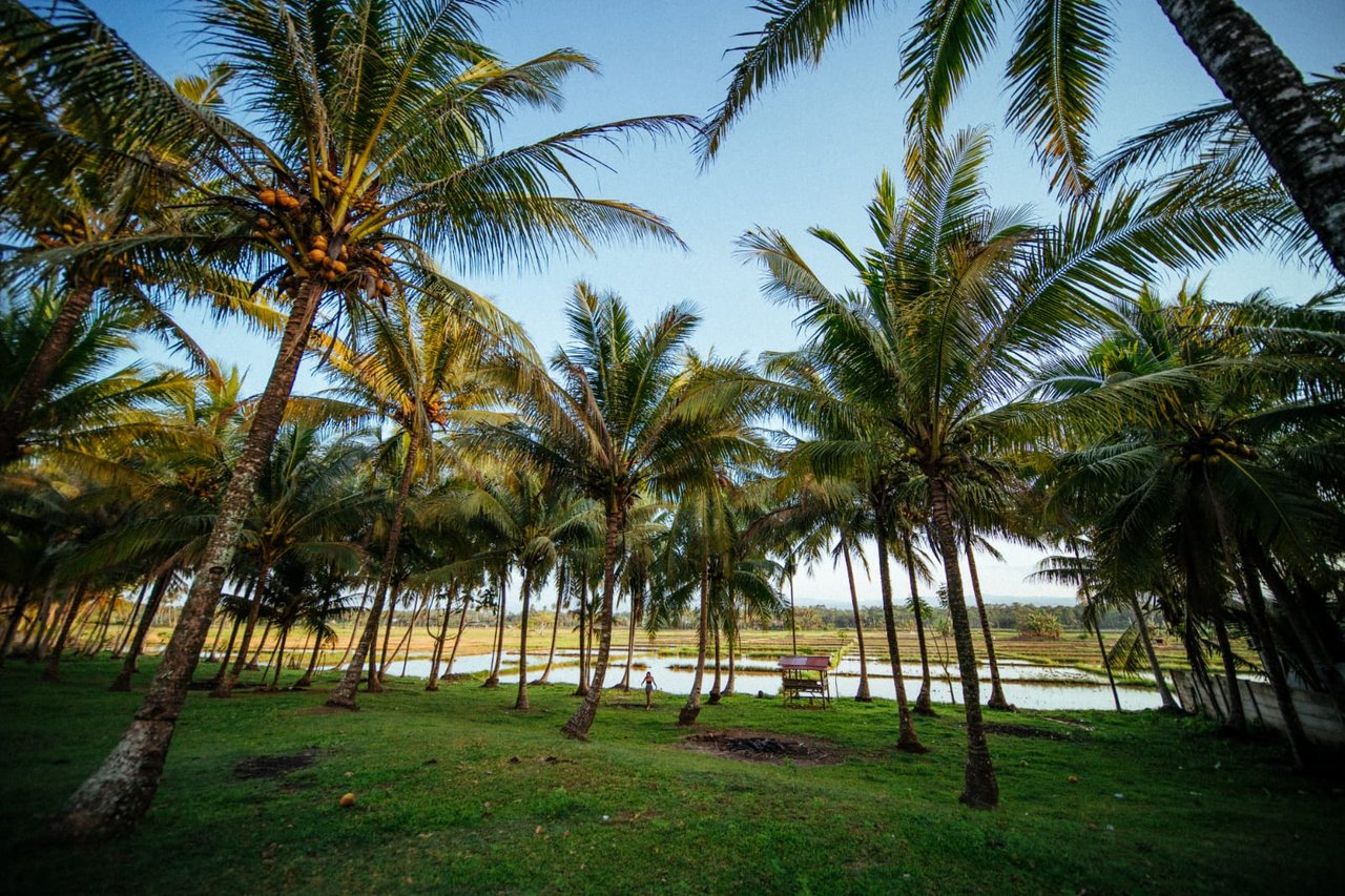 Casa Stella Mandiri Beach Krui for Sale