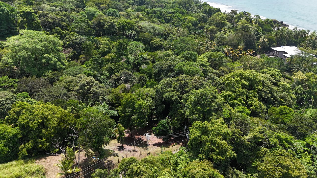 Walk to the Playitas beach, Titlled Building lot